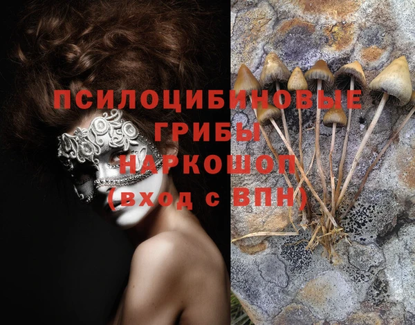 стаф Богородицк