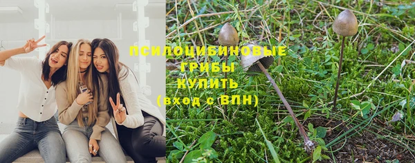 стаф Богородицк