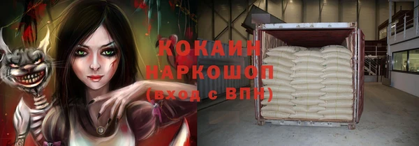 стаф Богородицк