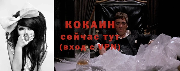 стаф Богородицк