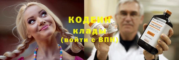 стаф Богородицк