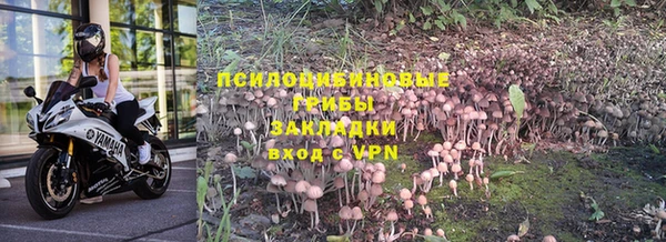 стафф Беломорск