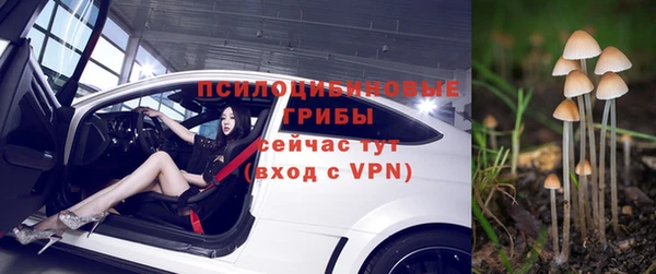 стаф Богородицк